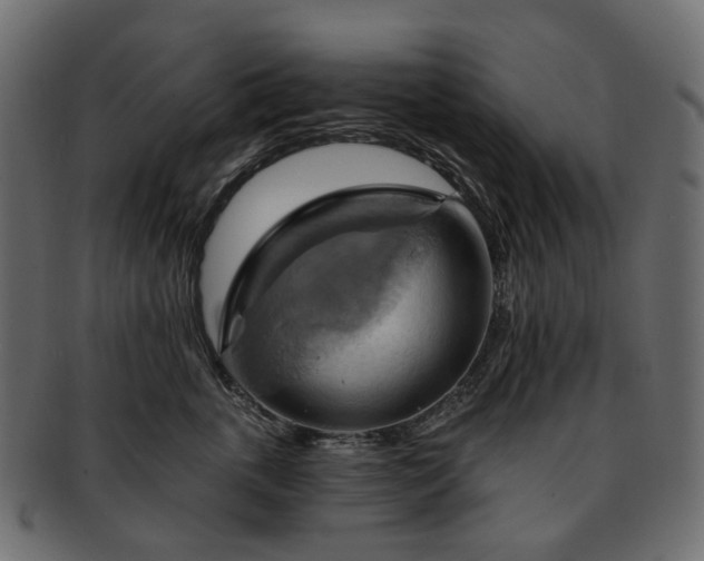 X0000093220763200710031439