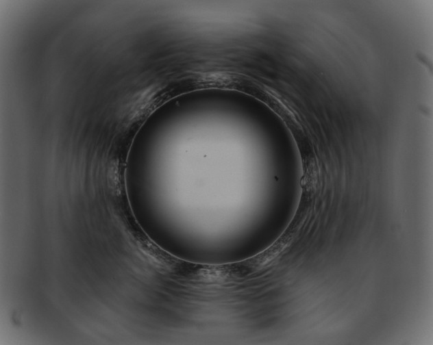 X0000093220764200710031439