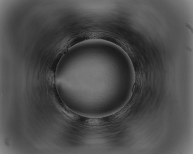 X0000093220766200710031439