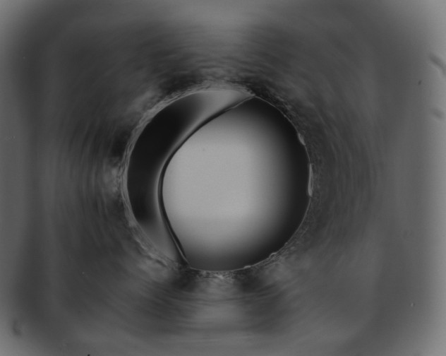 X0000093220768200710031439