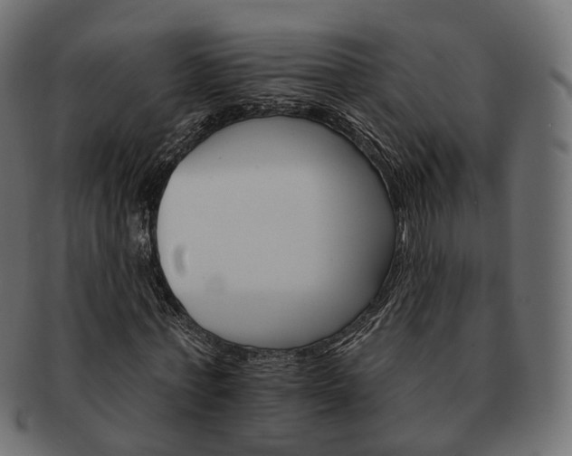 X0000093220771200710031439