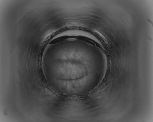 X0000093220775200710031439