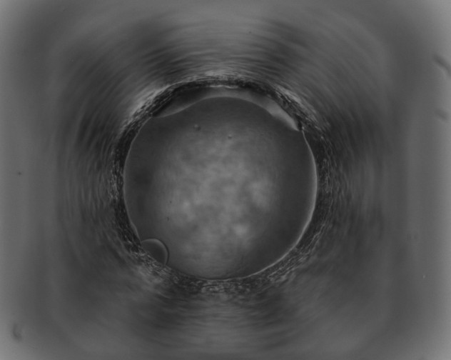 X0000093220776200710031439