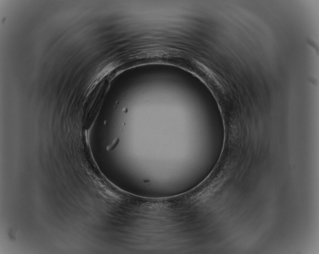 X0000093220778200710031439