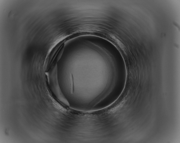 X0000093220779200710031439