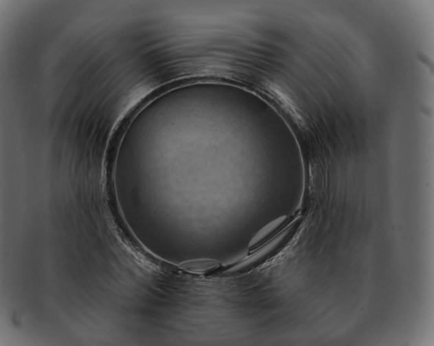 X0000093220780200710031439