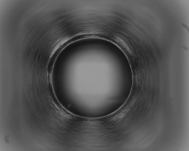 X0000093220781200710031439