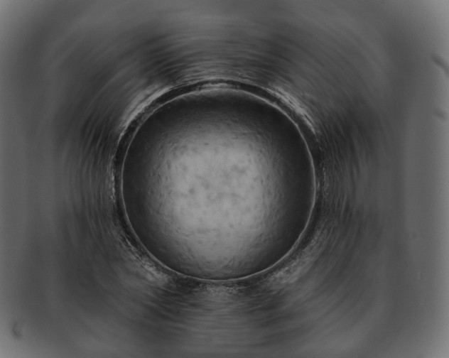 X0000093220782200710031439