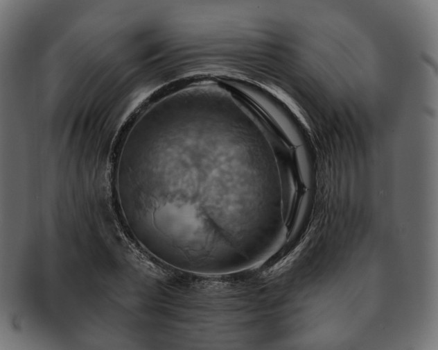 X0000093220783200710031439