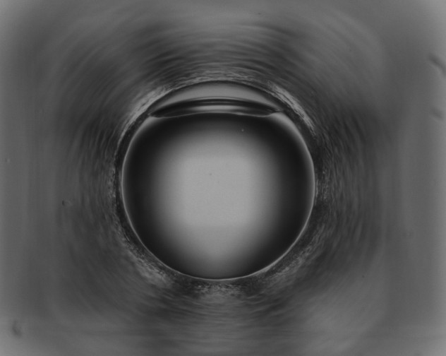 X0000093220786200710031438