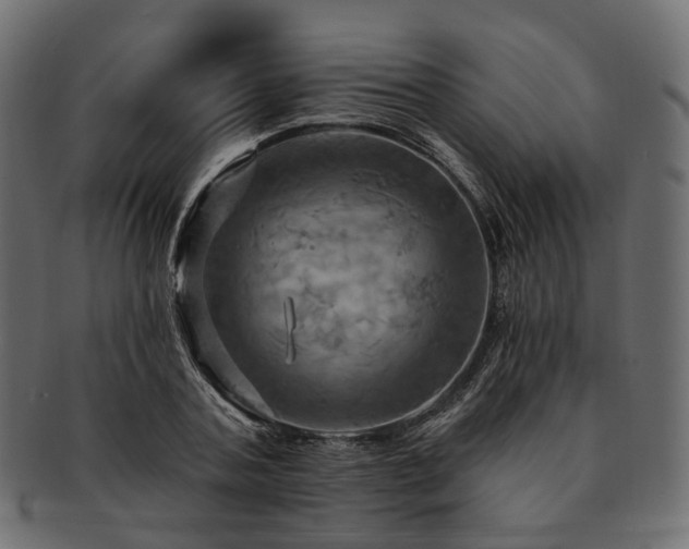 X0000093220787200710031438