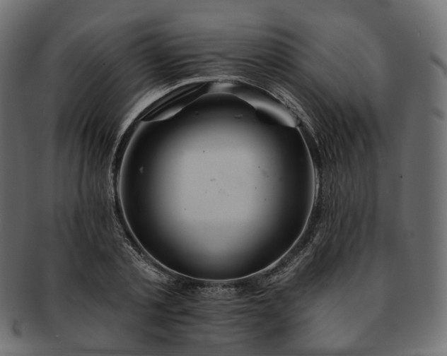 X0000093220789200710031438