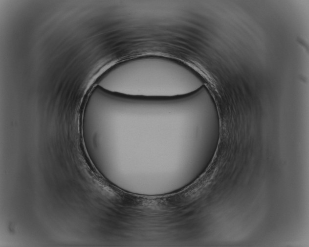 X0000093220790200710031438