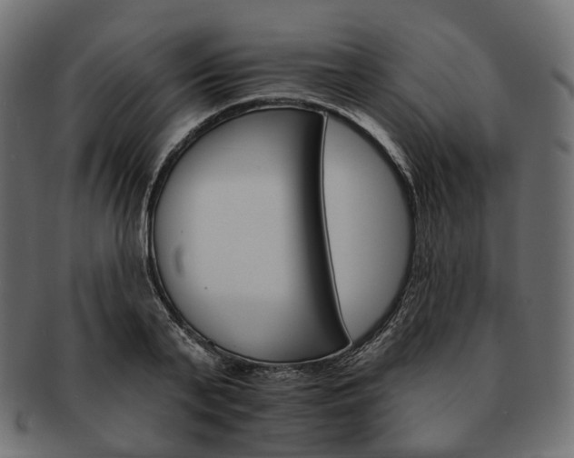 X0000093220791200710031438