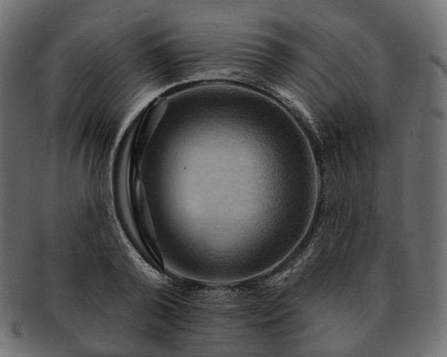 X0000093220792200710031438