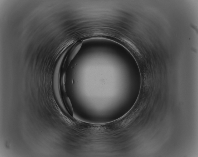 X0000093220793200710031438