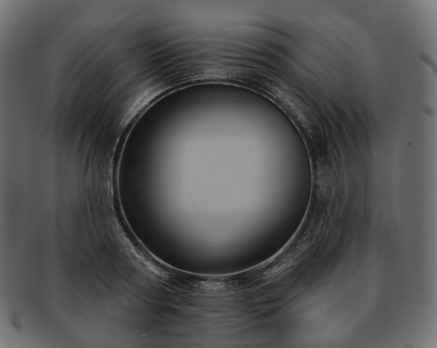 X0000093220794200710031438