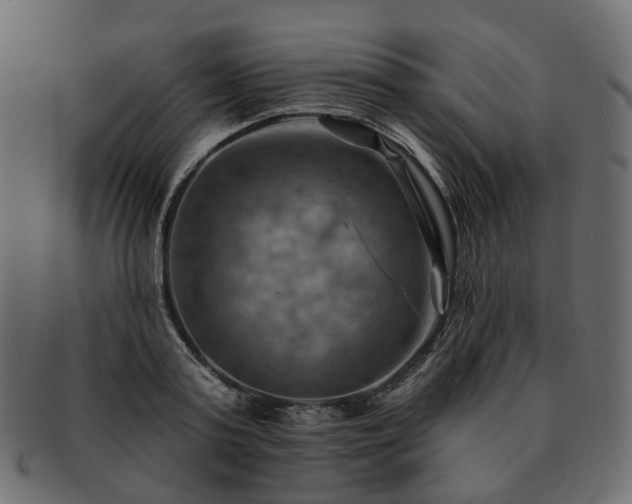 X0000093220795200710031438