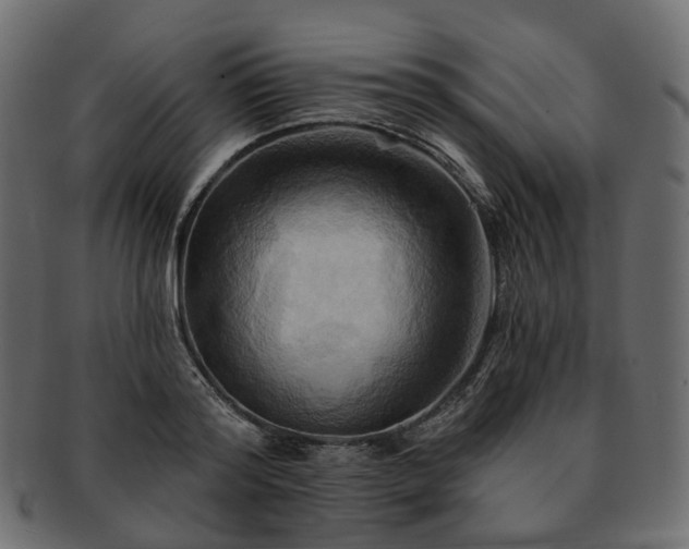 X0000093220796200710031438