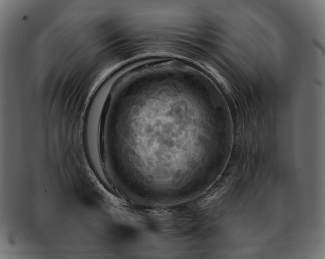 X0000093220799200710031438