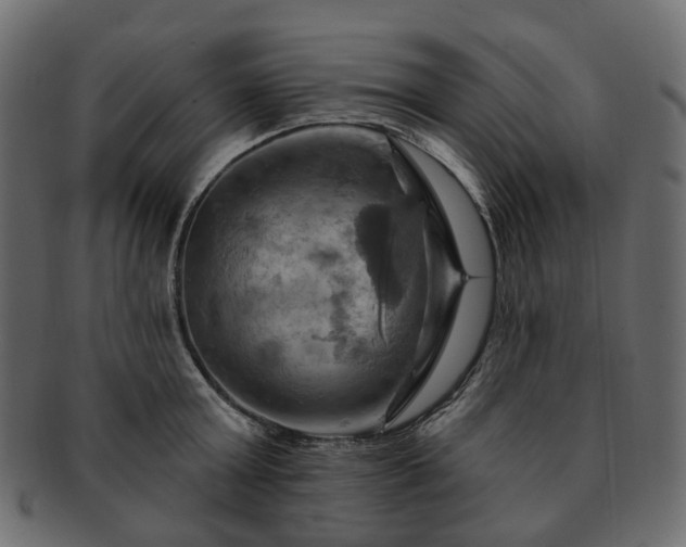 X0000093220803200710031438