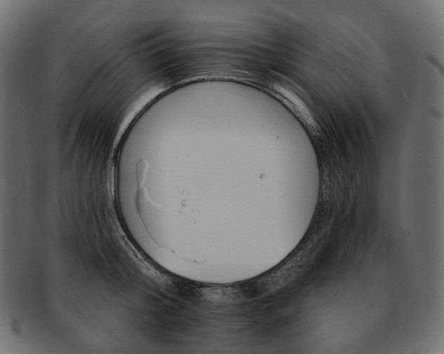 X0000093220804200710031438