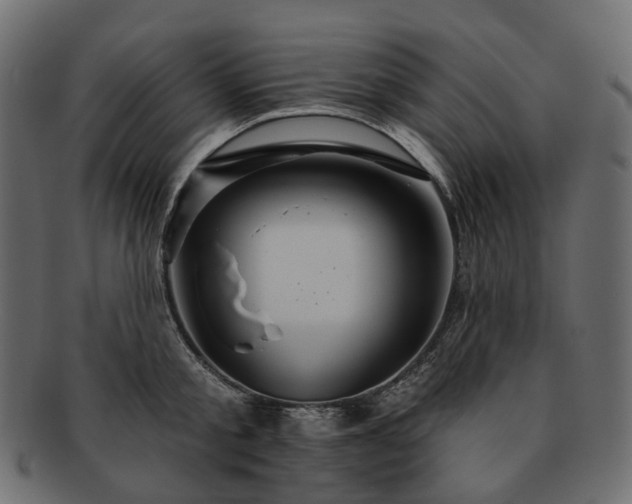 X0000093220805200710031438