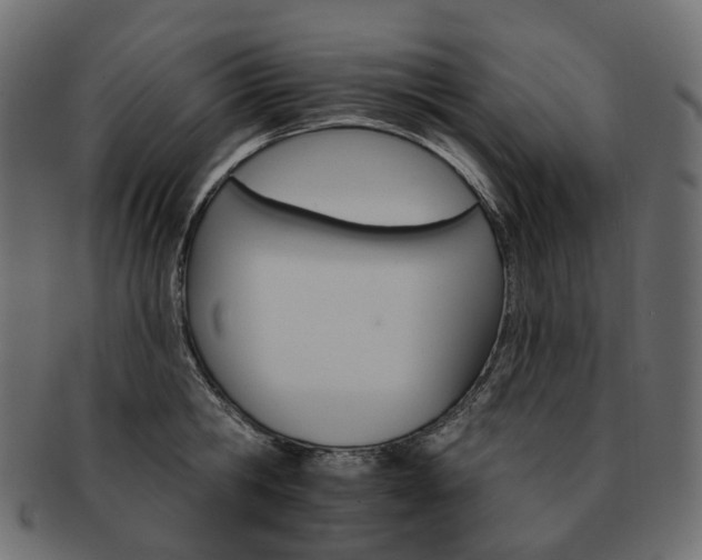 X0000093220806200710031438