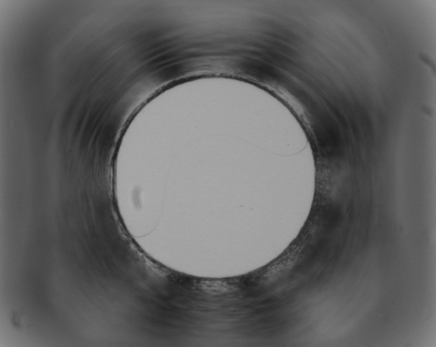 X0000093220807200710031438