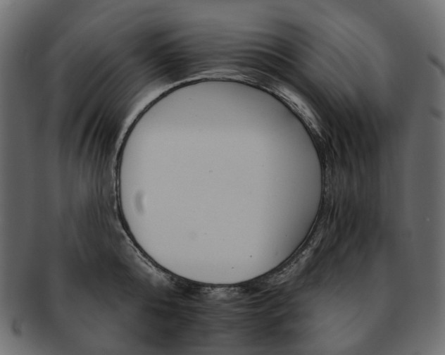 X0000093220808200710031438