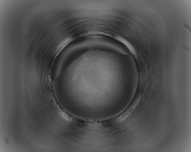 X0000093220809200710031438