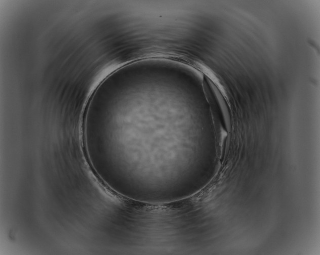 X0000093220811200710031438