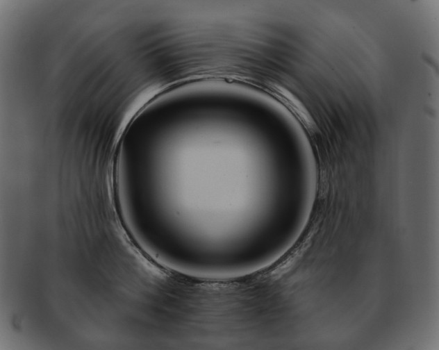 X0000093220812200710031438