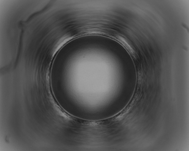 X0000093220814200710031438