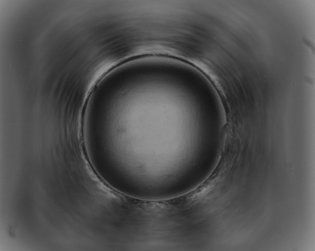 X0000093220815200710031438