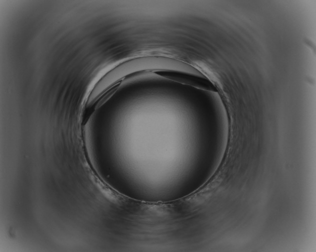 X0000093220816200710031438