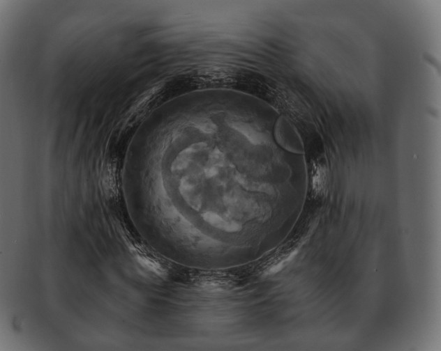 X0000093220819200710031437