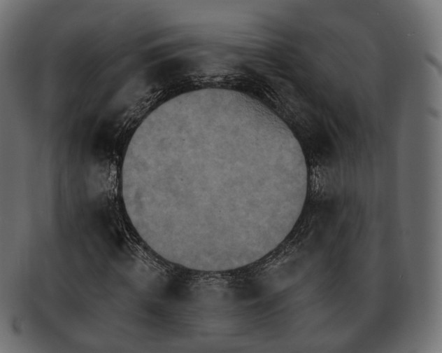 X0000093220820200710031437