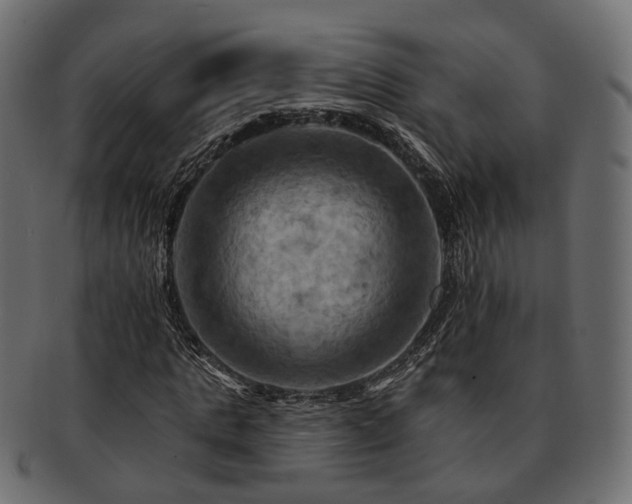 X0000093220821200710031437