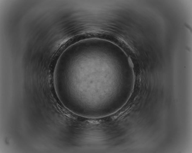 X0000093220822200710031437