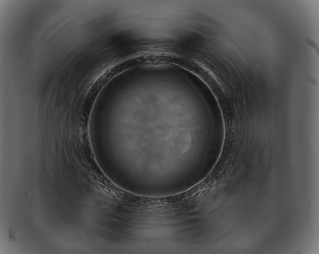 X0000093220823200710031437