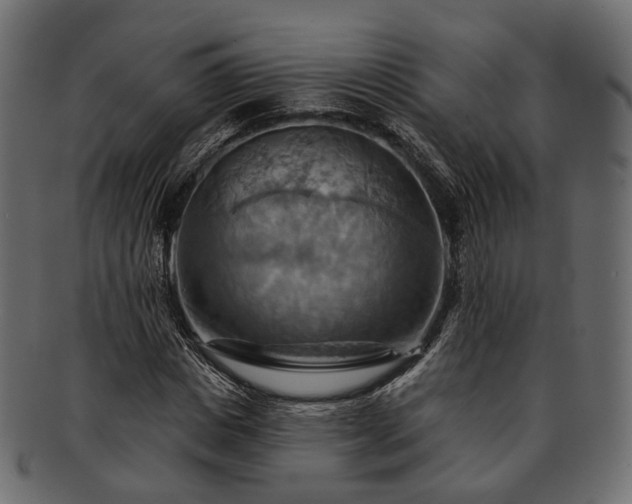 X0000093220825200710031437