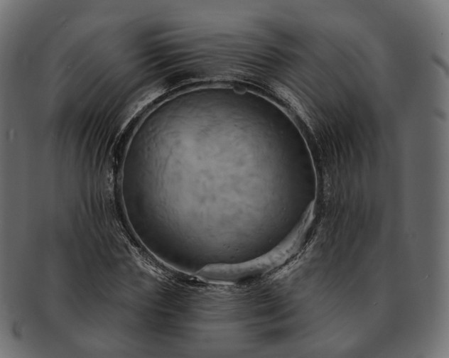 X0000093220827200710031438