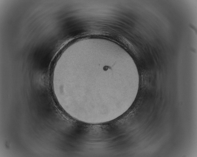 X0000093220828200710031438