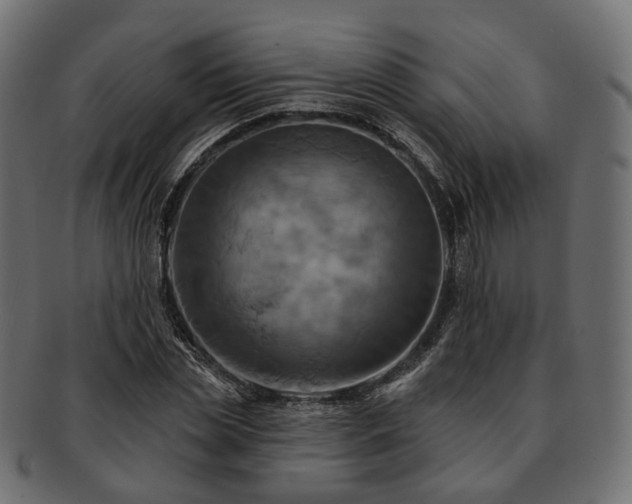 X0000093220829200710031438