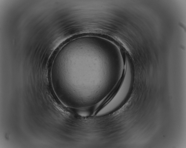 X0000093220830200710031438