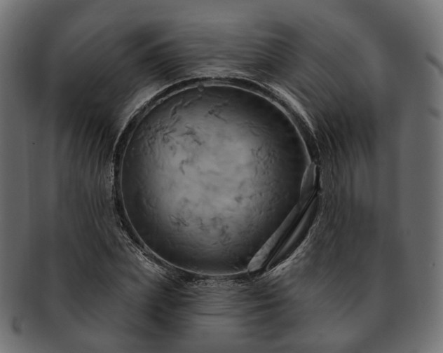 X0000093220831200710031438