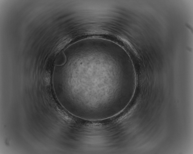 X0000093220833200710031438