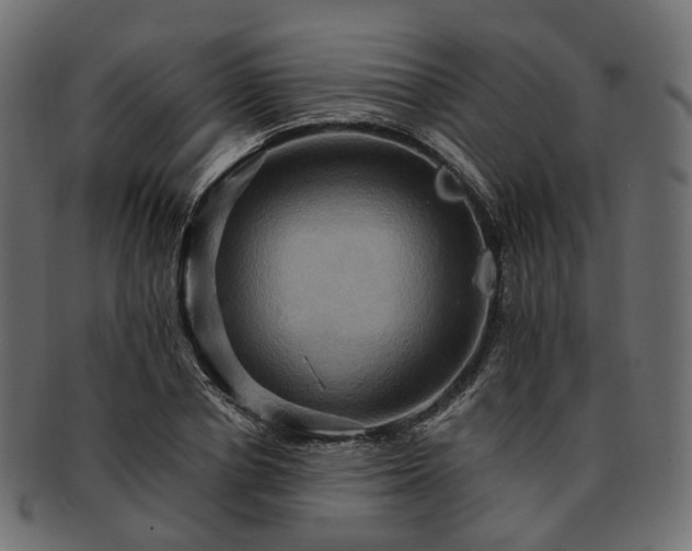 X0000093220834200710031438