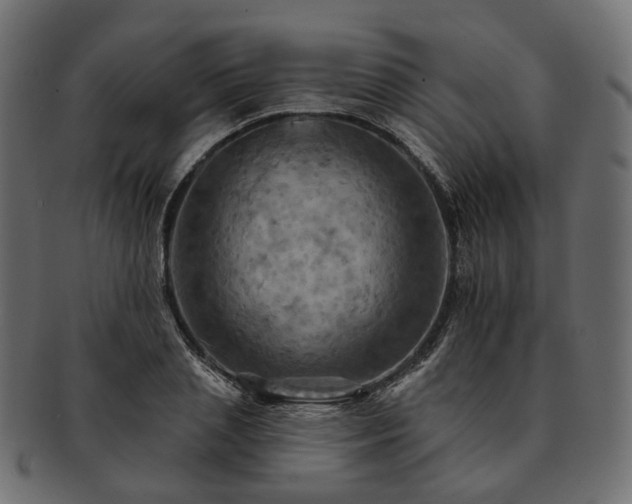 X0000093220837200710031438